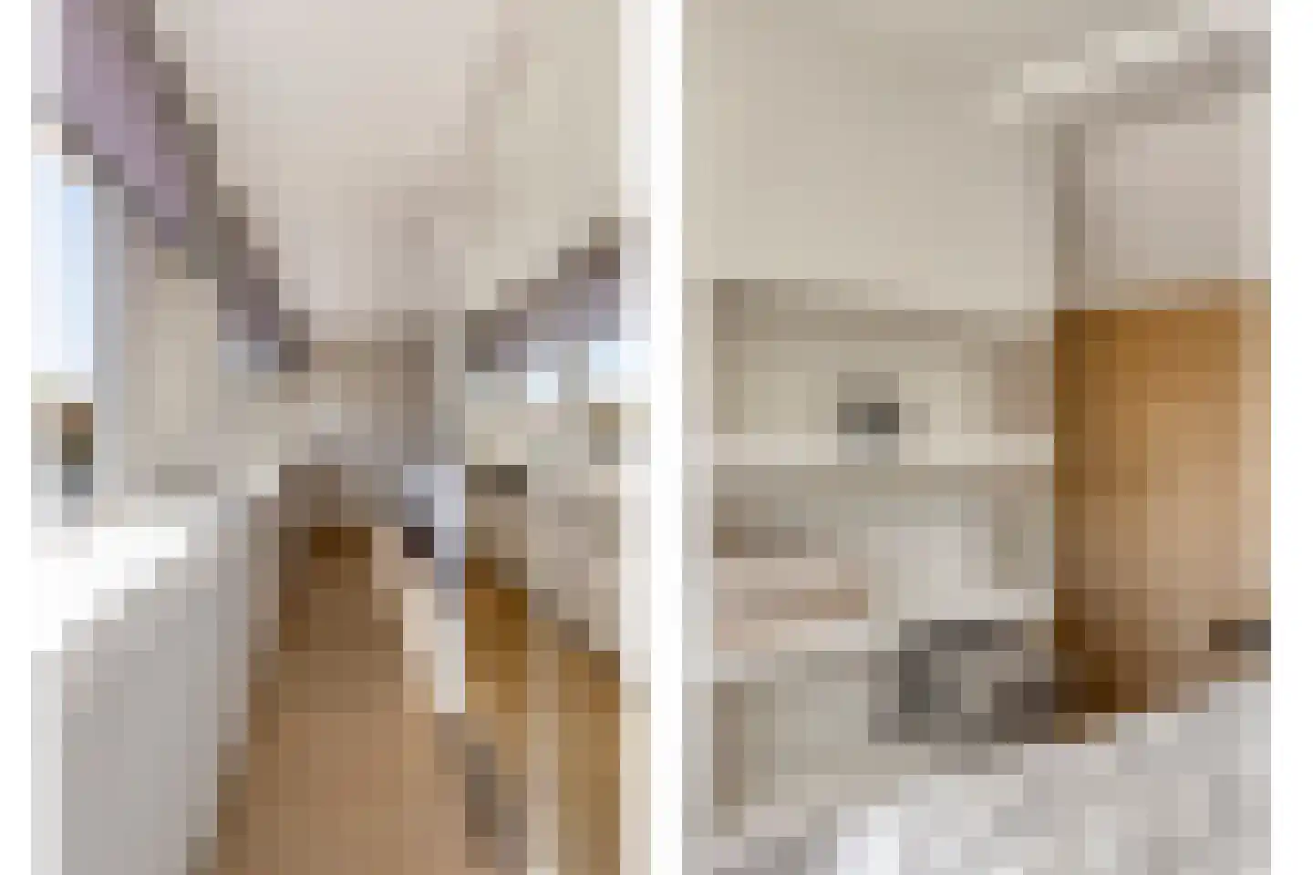 De Roverestraat 1 Vlijmen thumbnail 32