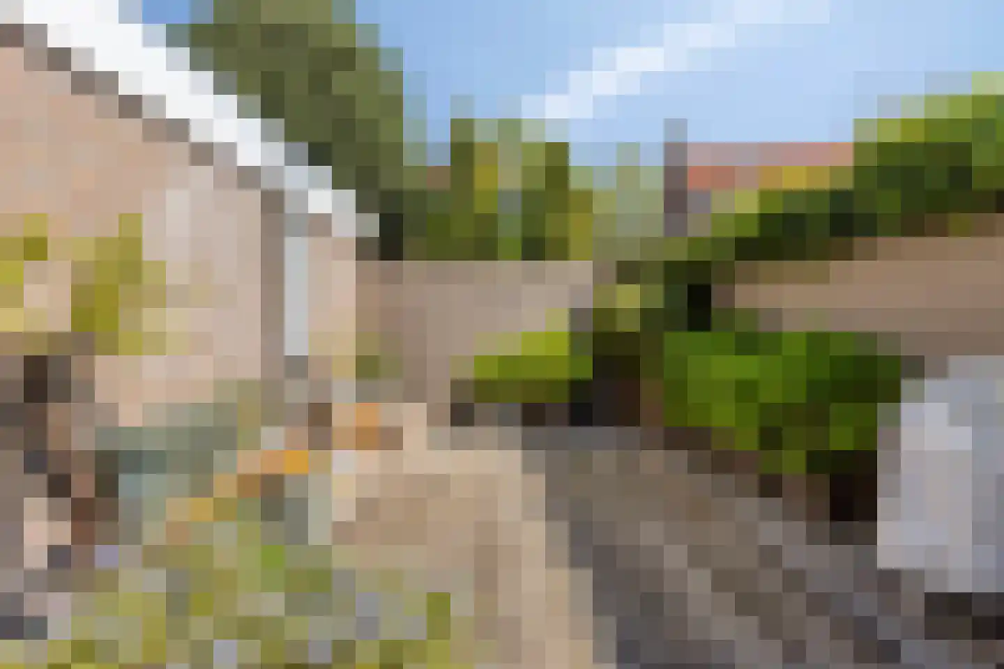 De Roverestraat 1 Vlijmen thumbnail 37