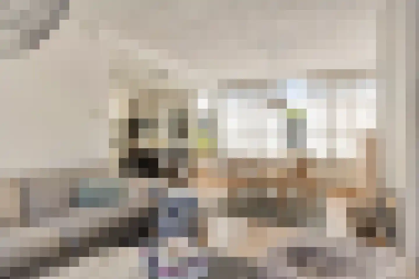 De Roverestraat 1 Vlijmen thumbnail 5