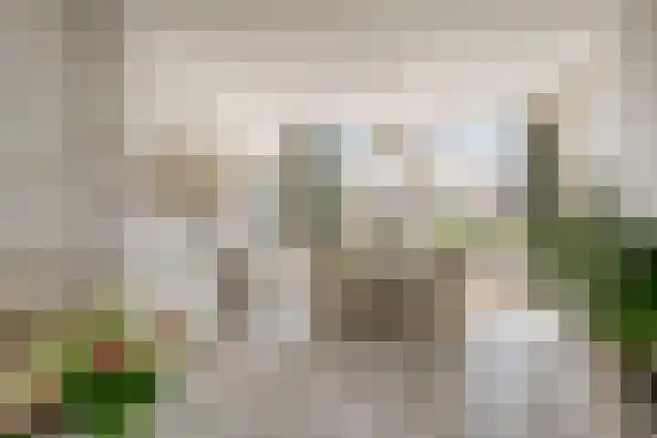 De Roverestraat 7 Vlijmen thumbnail 11
