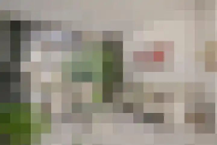 De Roverestraat 7 Vlijmen thumbnail 13