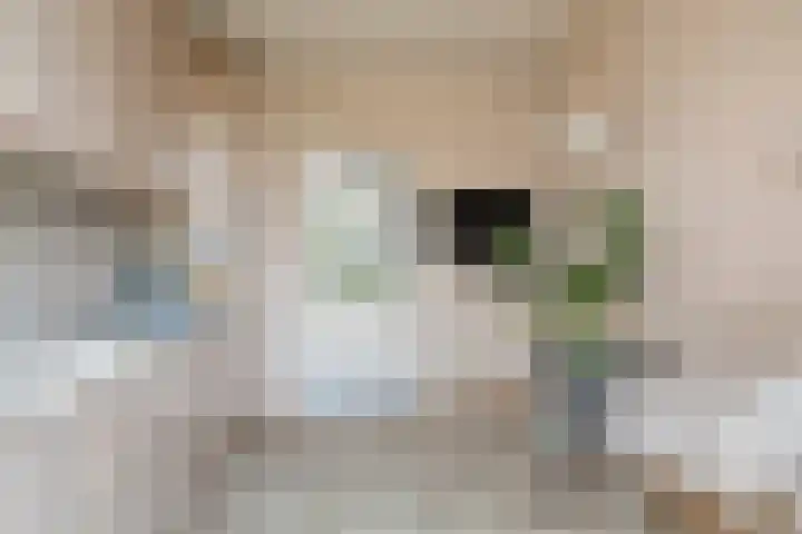 De Roverestraat 7 Vlijmen thumbnail 16