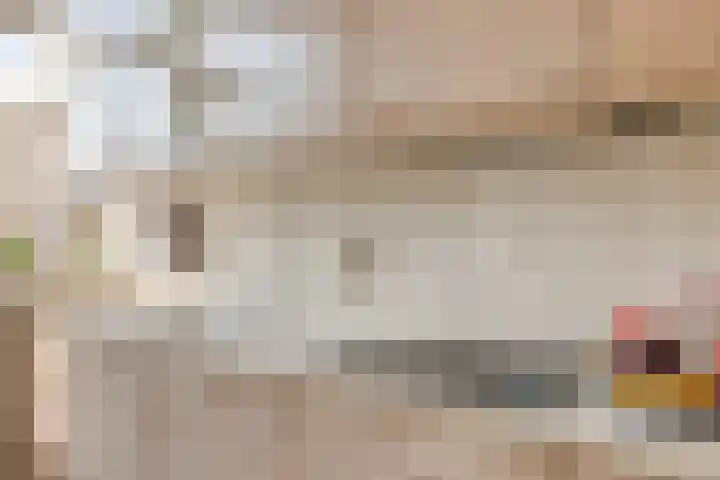 De Roverestraat 7 Vlijmen thumbnail 17
