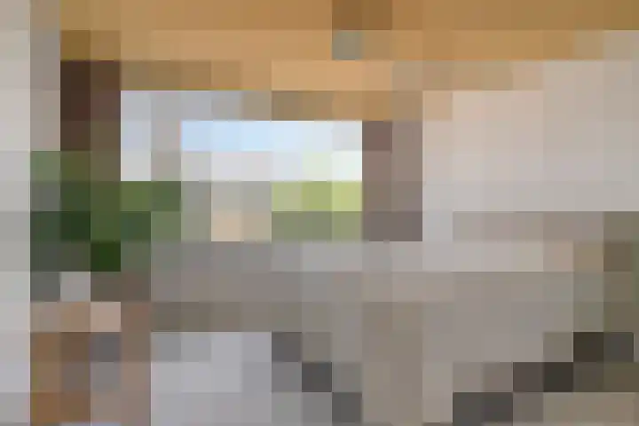 De Roverestraat 7 Vlijmen thumbnail 21