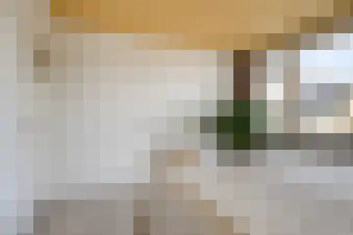 De Roverestraat 7 Vlijmen thumbnail 22