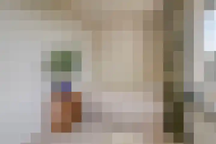 De Roverestraat 7 Vlijmen thumbnail 23