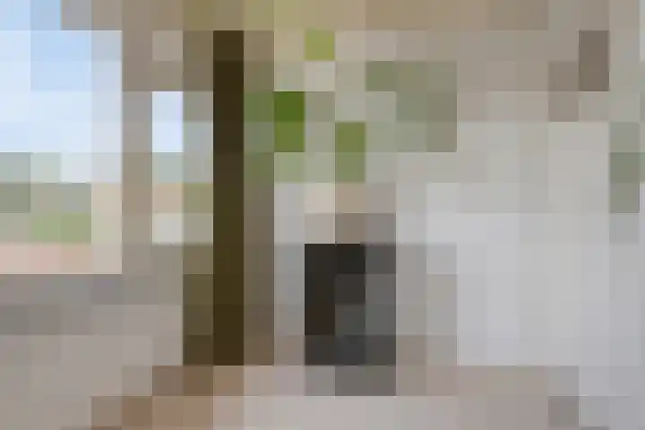 De Roverestraat 7 Vlijmen thumbnail 24
