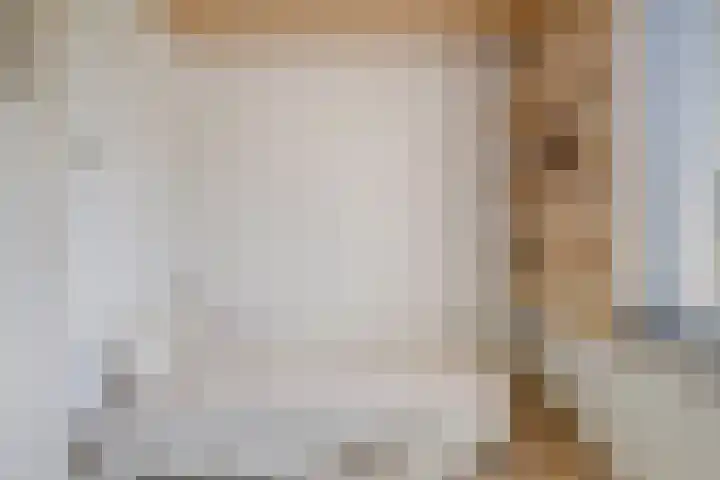 De Roverestraat 7 Vlijmen thumbnail 25