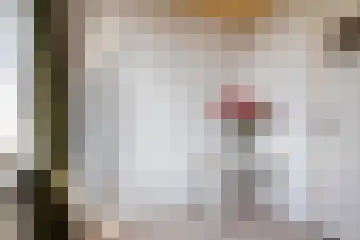 De Roverestraat 7 Vlijmen thumbnail 26