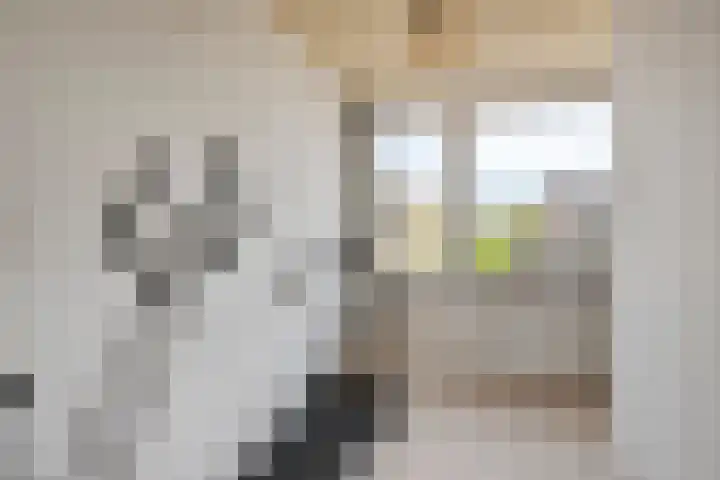 De Roverestraat 7 Vlijmen thumbnail 29