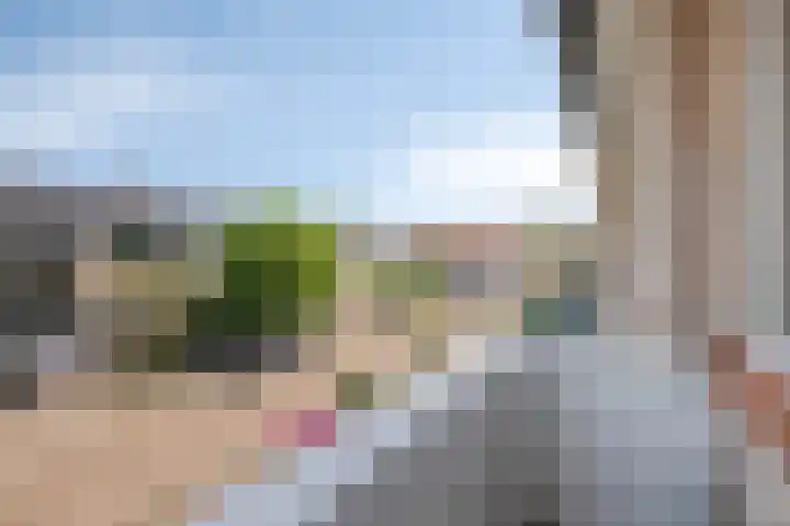 De Roverestraat 7 Vlijmen thumbnail 31