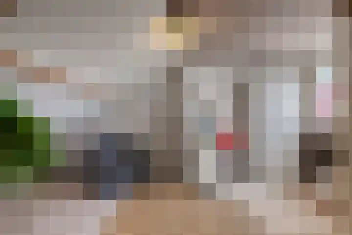 De Roverestraat 7 Vlijmen thumbnail 36