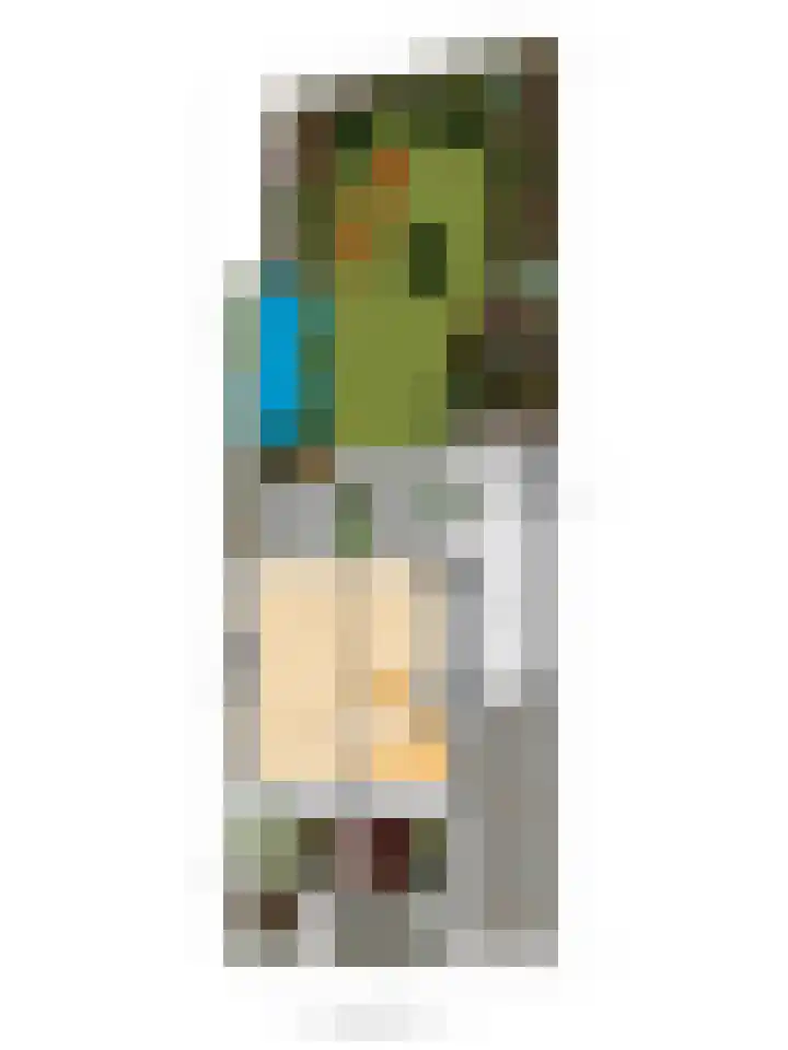 De Roverestraat 7 Vlijmen thumbnail 38