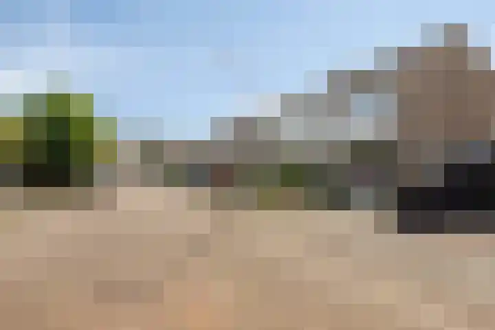 De Roverestraat 7 Vlijmen thumbnail 39