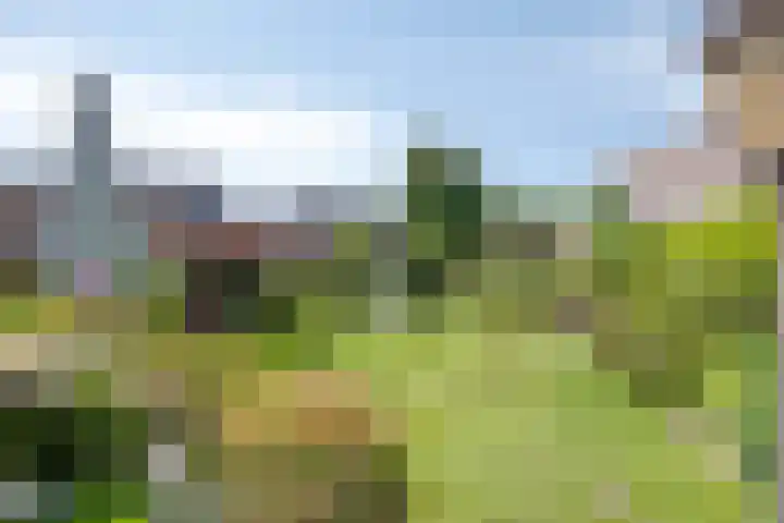 De Roverestraat 7 Vlijmen thumbnail 4