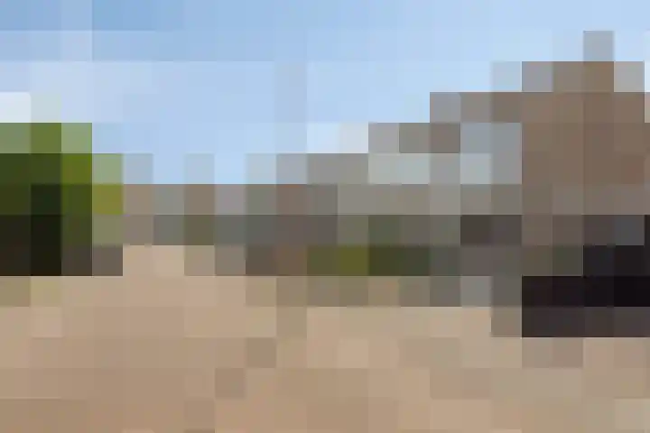 De Roverestraat 7 Vlijmen thumbnail 40