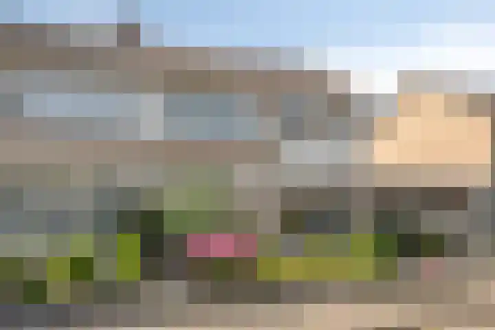De Roverestraat 7 Vlijmen thumbnail 41