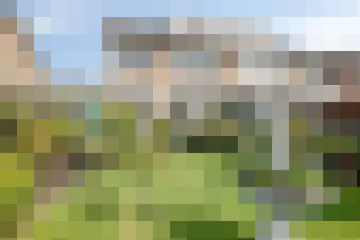 De Roverestraat 7 Vlijmen thumbnail 5