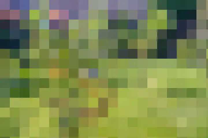 De Roverestraat 7 Vlijmen thumbnail 7