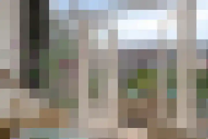 De Roverestraat 7 Vlijmen thumbnail 9