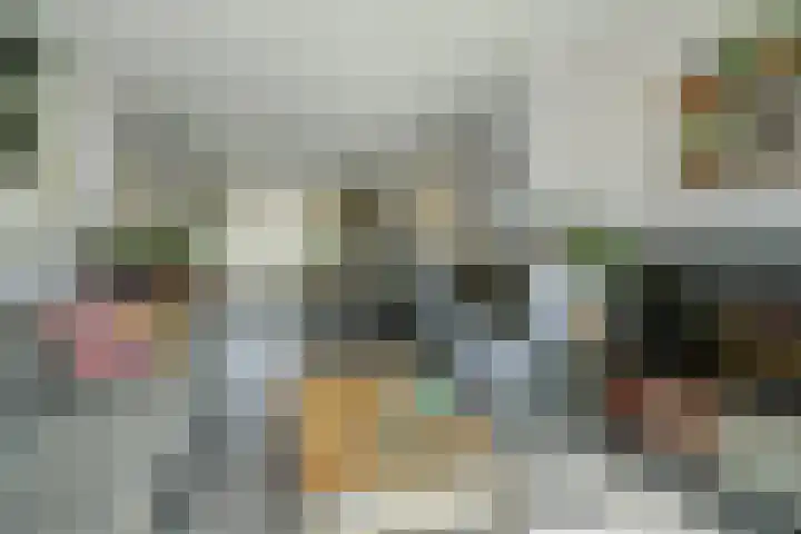 De Roverestraat 8 Vlijmen thumbnail 10