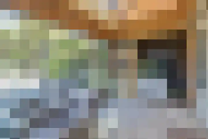 De Roverestraat 8 Vlijmen thumbnail 16