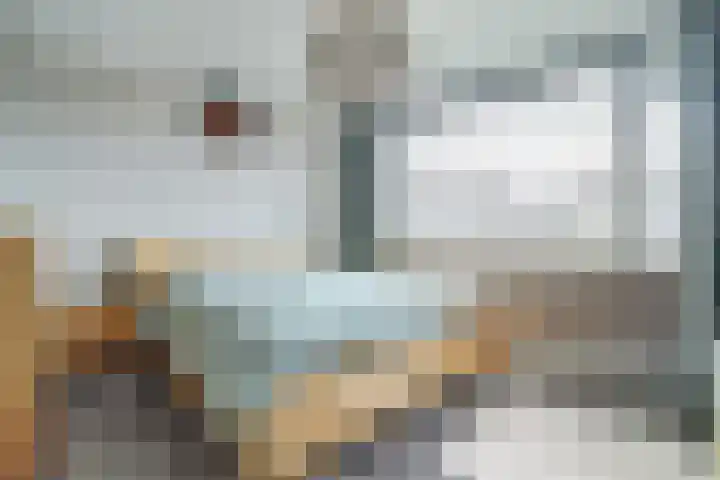 De Roverestraat 8 Vlijmen thumbnail 19