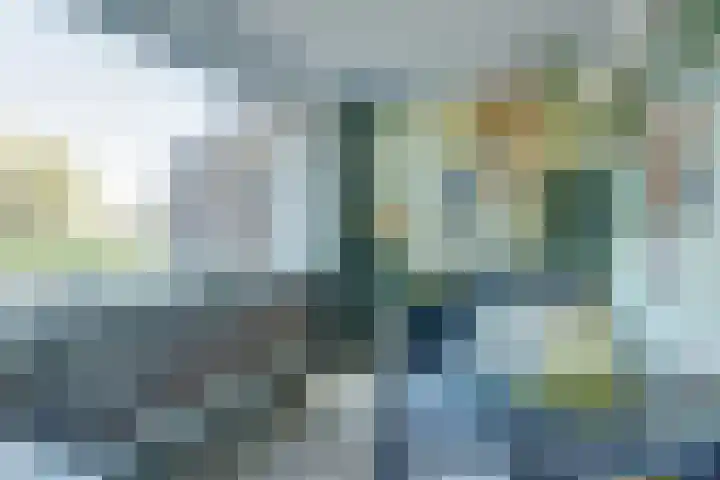 De Roverestraat 8 Vlijmen thumbnail 22