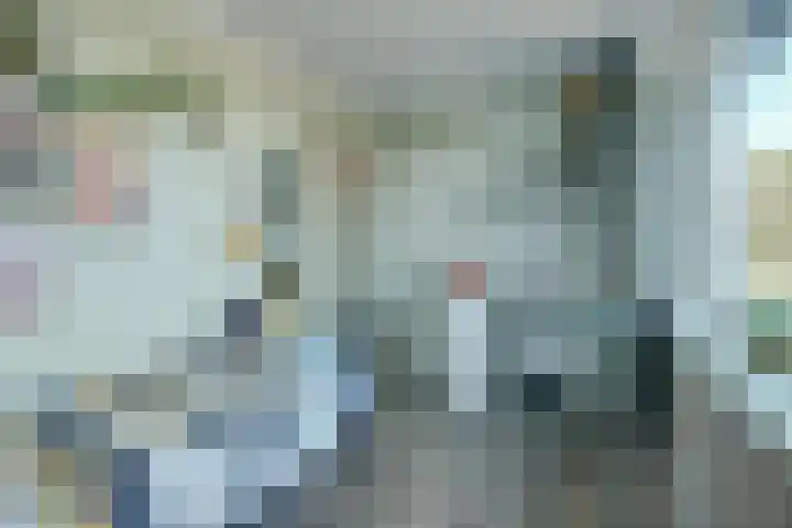 De Roverestraat 8 Vlijmen thumbnail 23