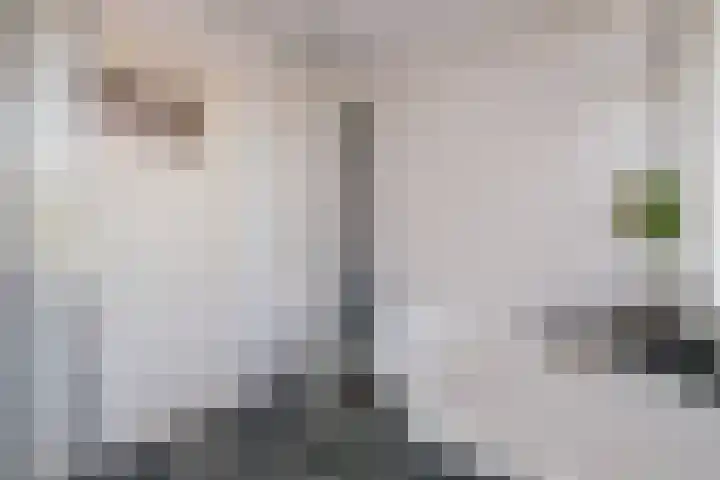 De Roverestraat 8 Vlijmen thumbnail 26