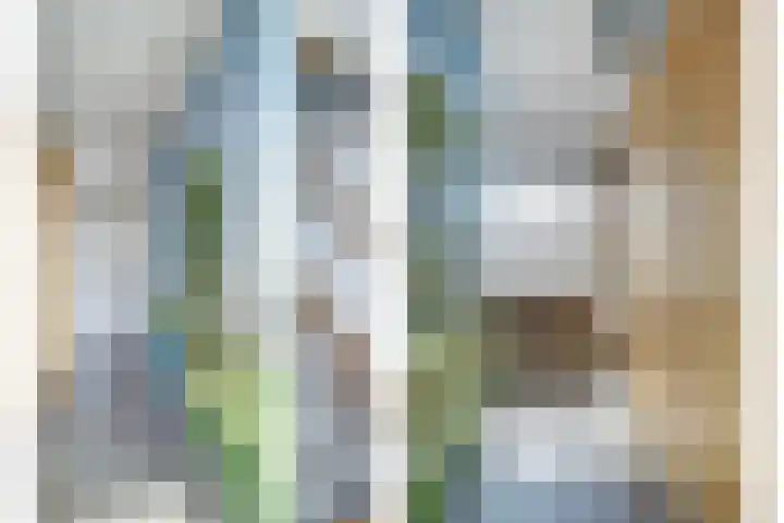 De Roverestraat 8 Vlijmen thumbnail 28