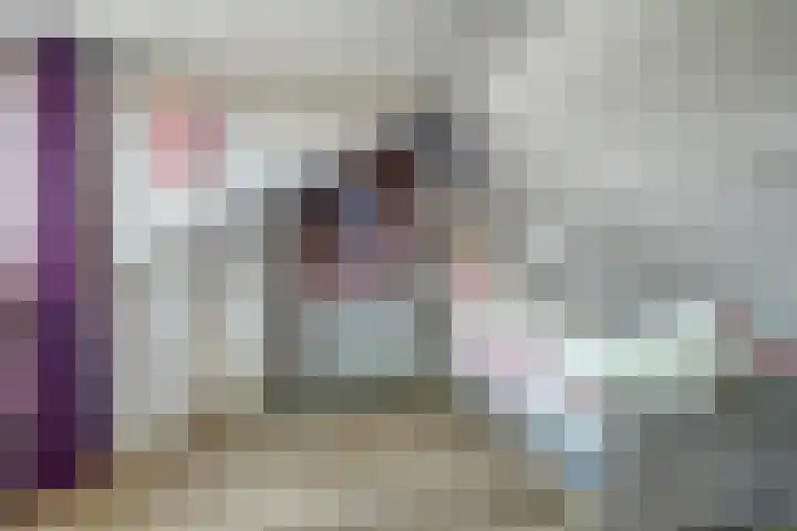 De Roverestraat 8 Vlijmen thumbnail 31