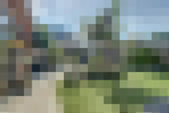 De Roverestraat 8 Vlijmen thumbnail 33