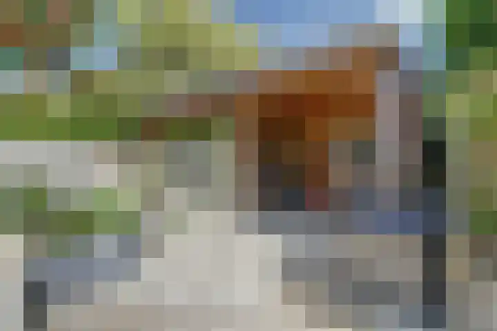 De Roverestraat 8 Vlijmen thumbnail 37