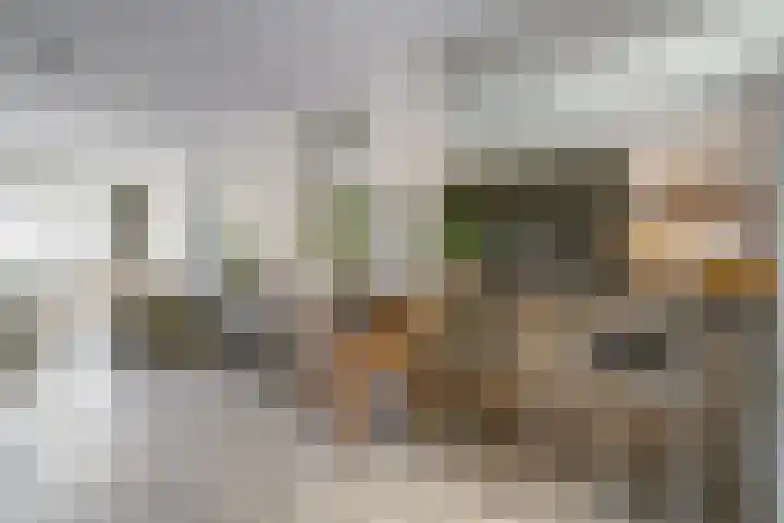 De Roverestraat 8 Vlijmen thumbnail 4