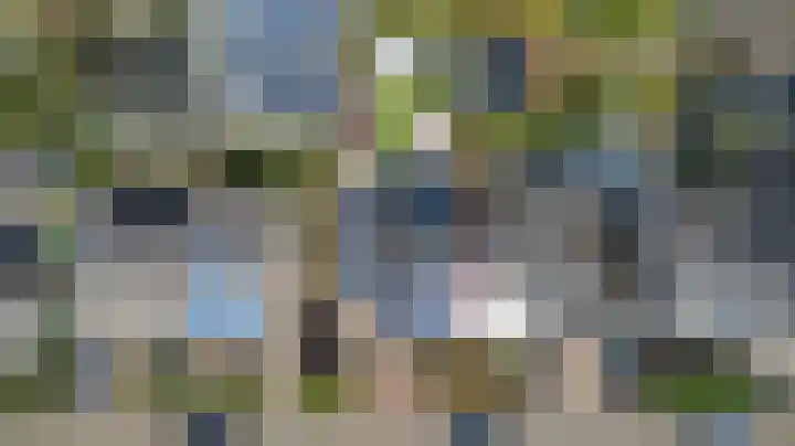De Roverestraat 8 Vlijmen thumbnail 42