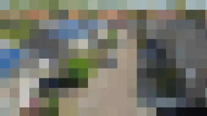 De Roverestraat 8 Vlijmen thumbnail 47