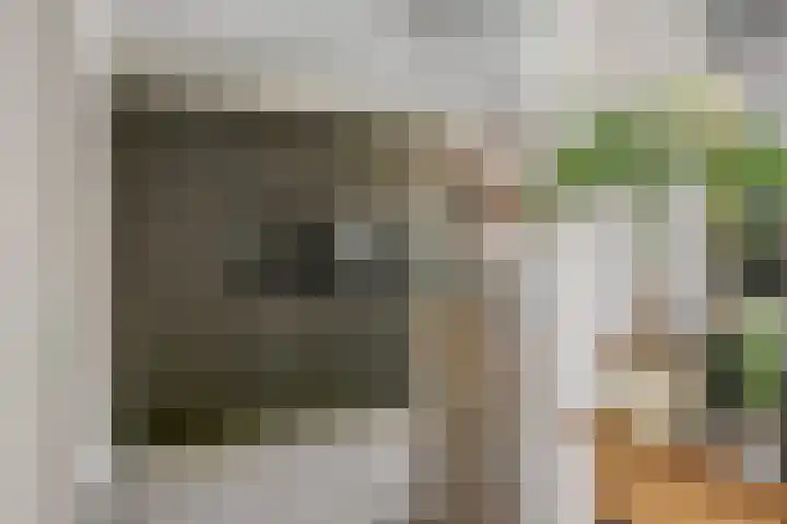 De Roverestraat 8 Vlijmen thumbnail 5