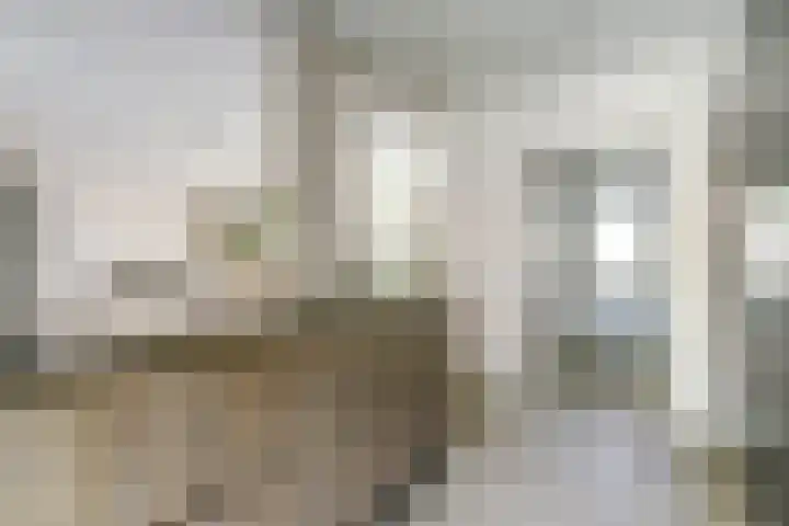 De Roverestraat 8 Vlijmen thumbnail 7