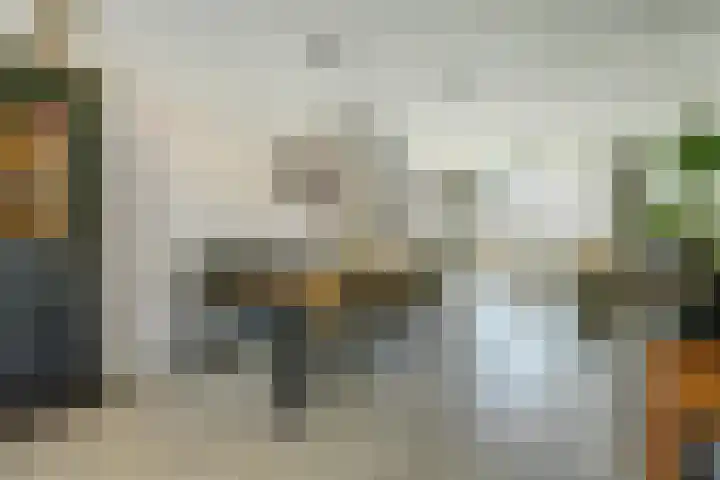 De Roverestraat 8 Vlijmen thumbnail 8