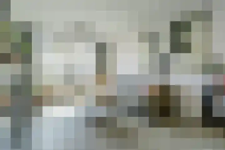 De Roverestraat 8 Vlijmen thumbnail 9