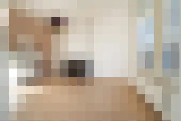 de Roy van Zuidewijnlaan 2 A Breda thumbnail 16