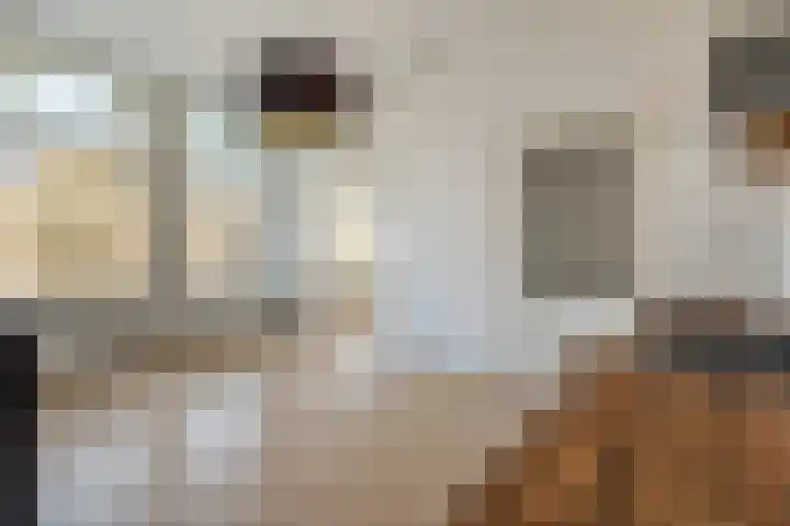 de Roy van Zuidewijnlaan 2 A Breda foto 2