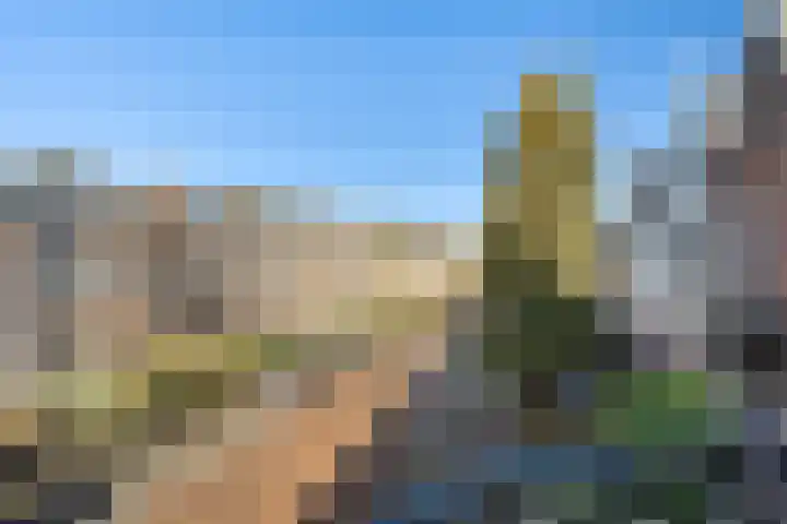 de Roy van Zuidewijnlaan 2 A Breda thumbnail 27