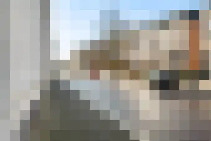 de Roy van Zuidewijnlaan 2 A Breda thumbnail 49