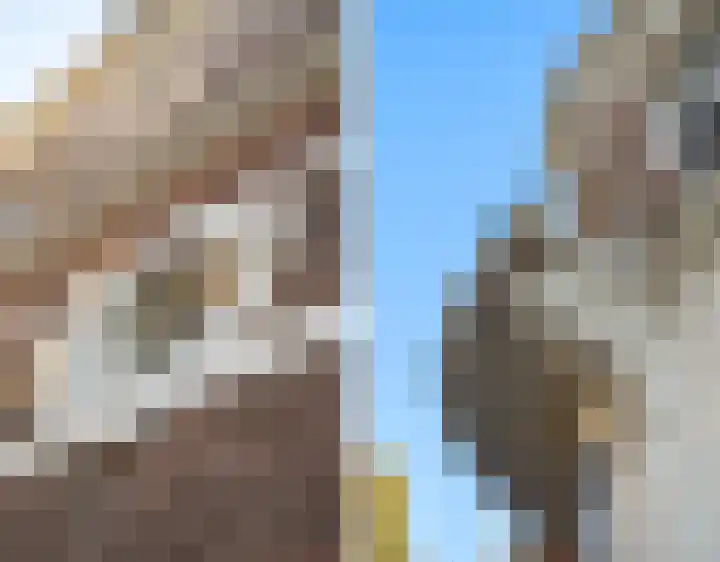 de Roy van Zuidewijnlaan 2 Breda thumbnail 29