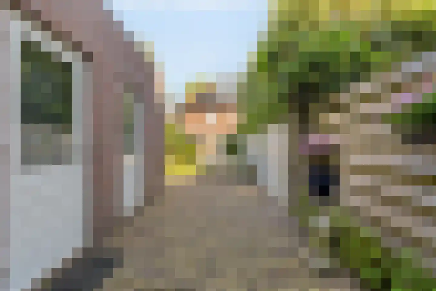 de Roy van Zuidewijnlaan 33 Breda thumbnail 19
