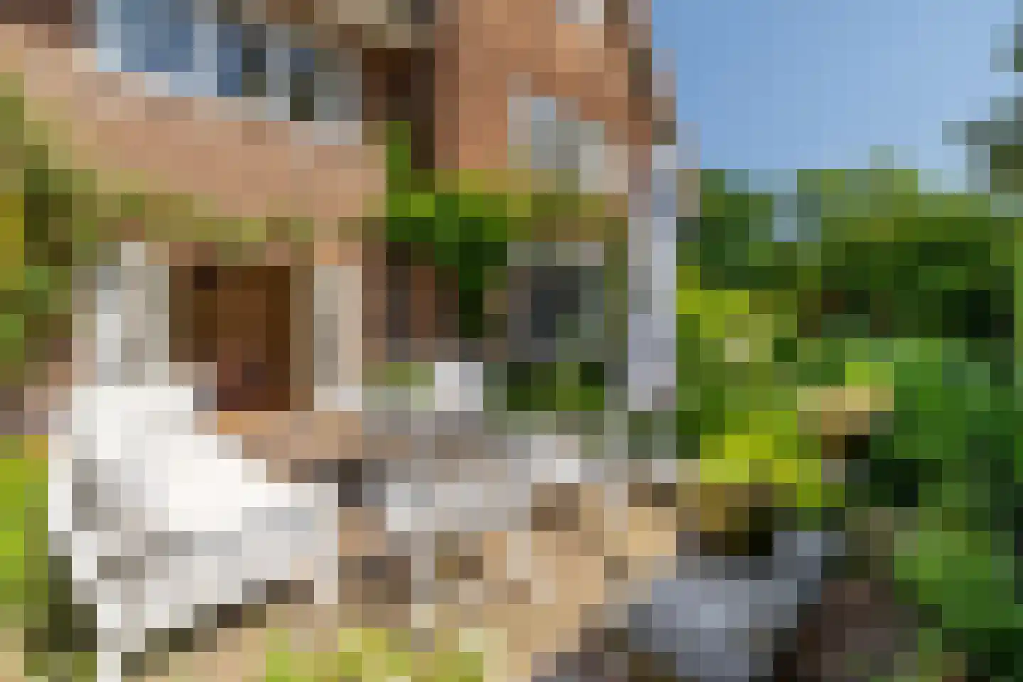 de Roy van Zuidewijnlaan 43 Breda thumbnail 58