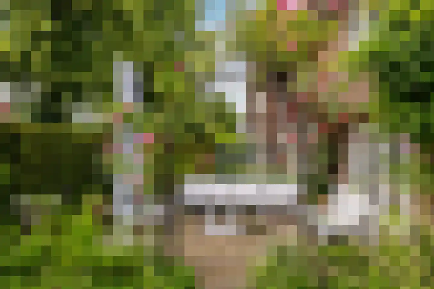 de Roy van Zuidewijnlaan 43 Breda thumbnail 64