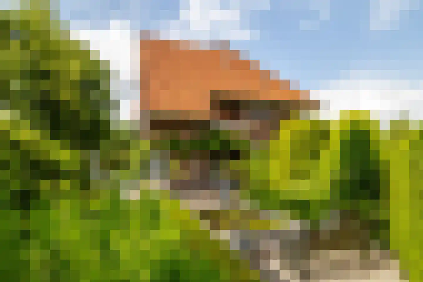de Roy van Zuidewijnlaan 43 Breda thumbnail 68